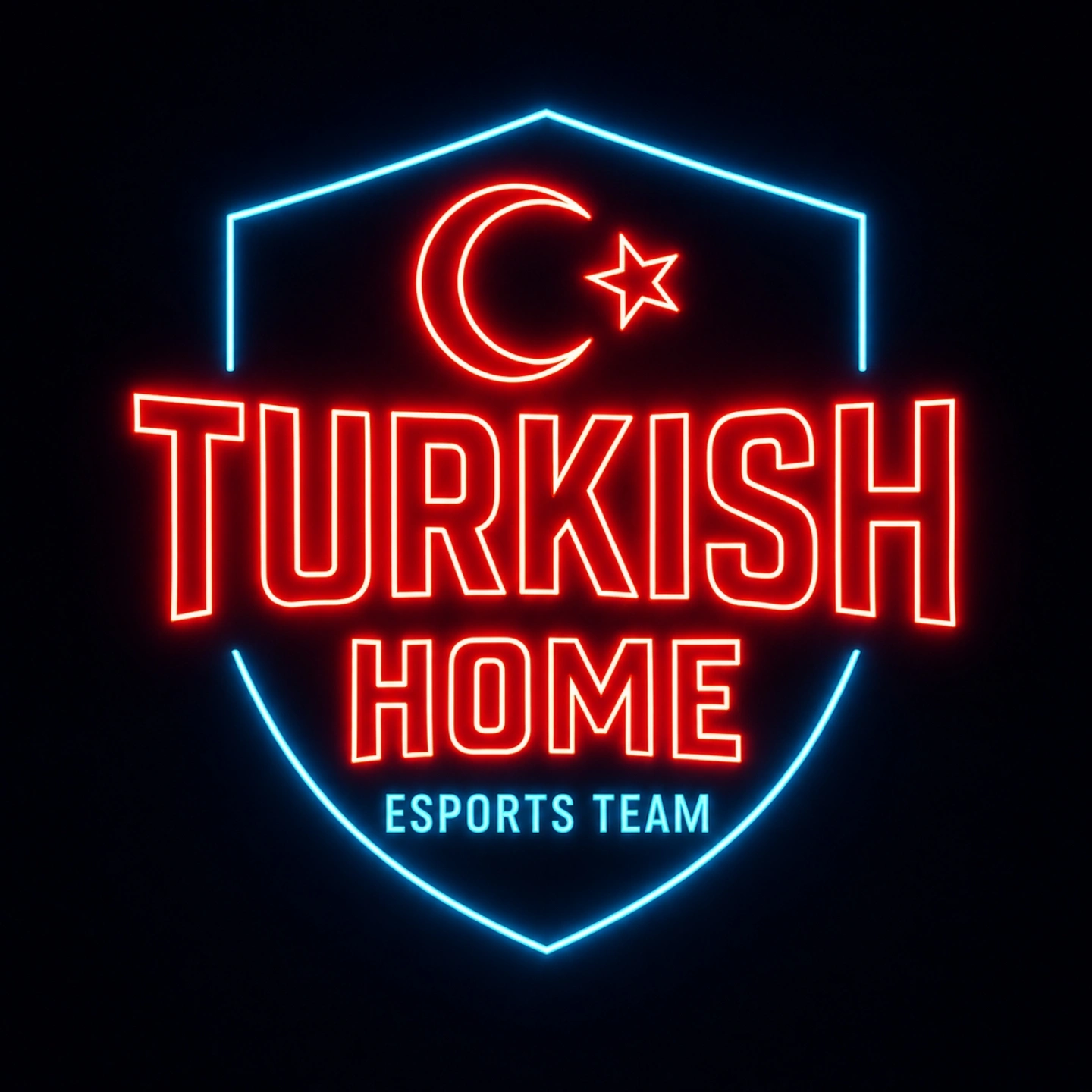 Turkish Home Logo